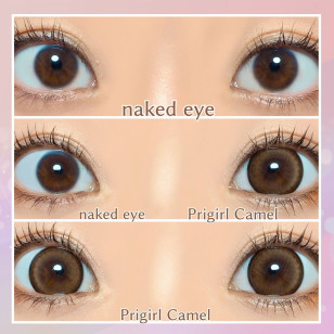 [1Day]Primore Pri Girl Camel プリモア プリガールキャメル